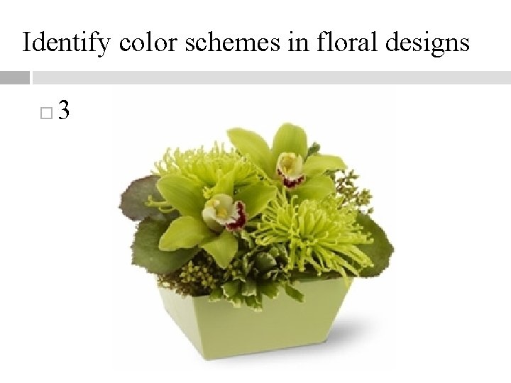 Identify color schemes in floral designs 3 