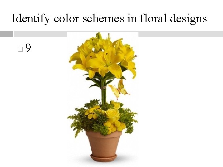 Identify color schemes in floral designs 9 