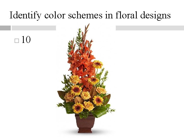 Identify color schemes in floral designs 10 