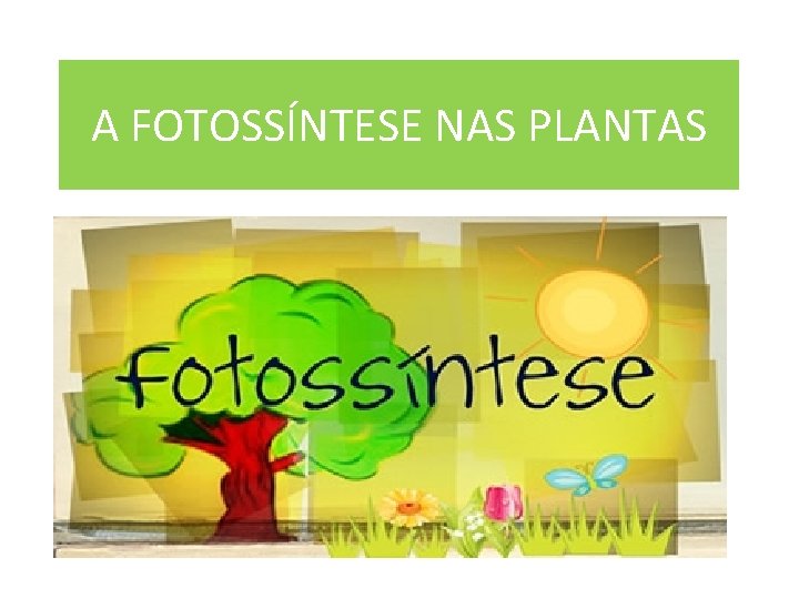 A FOTOSSÍNTESE NAS PLANTAS 