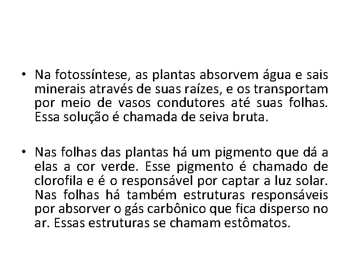  • Na fotossíntese, as plantas absorvem água e sais minerais através de suas