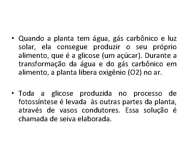  • Quando a planta tem água, gás carbônico e luz solar, ela consegue