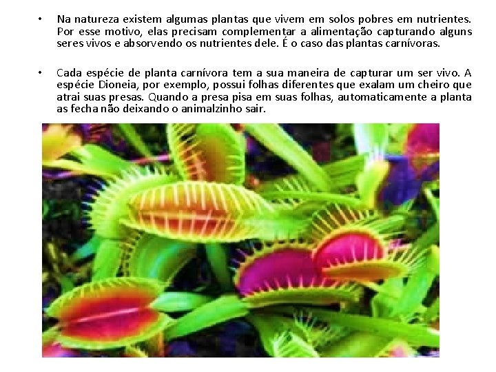  • Na natureza existem algumas plantas que vivem em solos pobres em nutrientes.