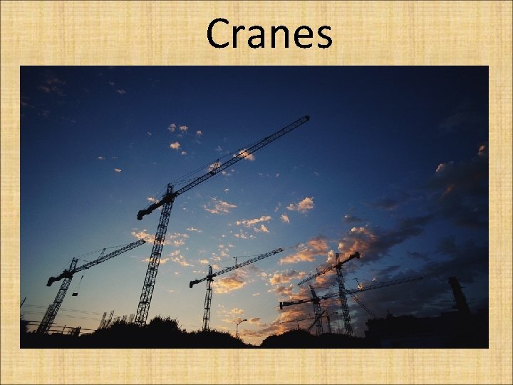 Cranes 