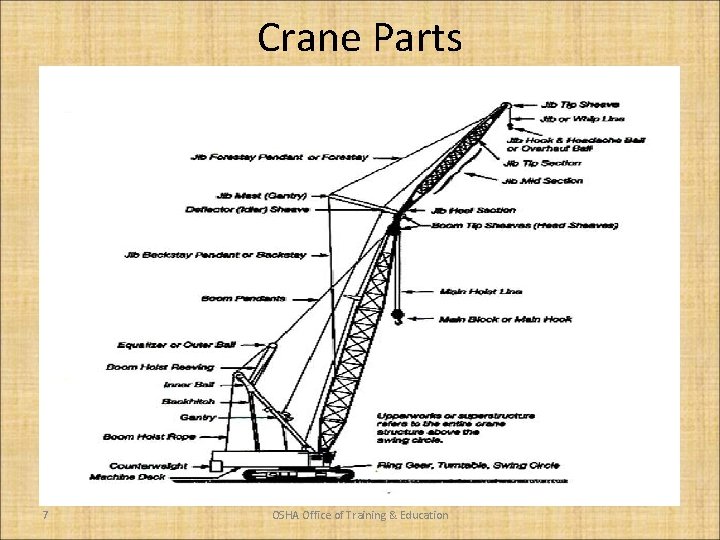 Crane Parts 7 OSHA Office of Training & Education 
