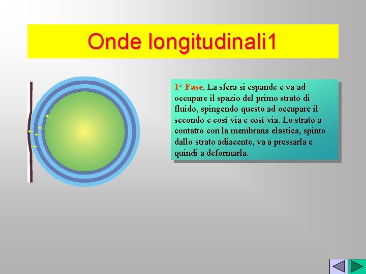 Onde longitudinali 1 1° Fase. La sfera si espande e va ad occupare il