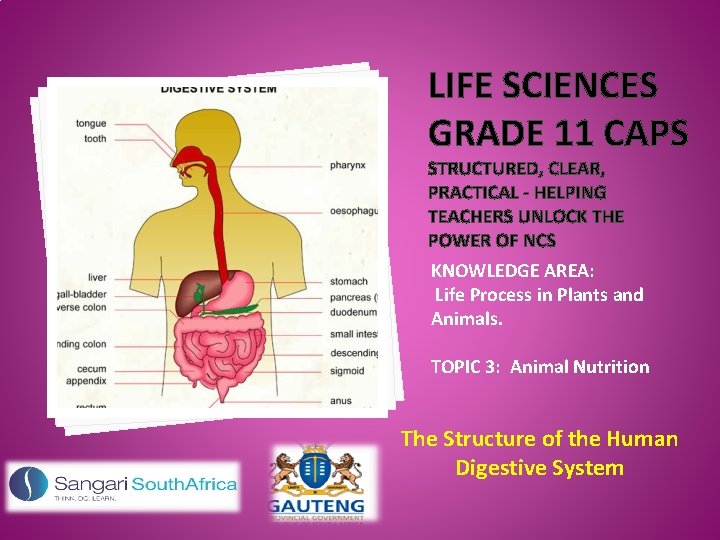 LIFE SCIENCES GRADE 11 CAPS STRUCTURED, CLEAR, PRACTICAL - HELPING TEACHERS UNLOCK THE POWER