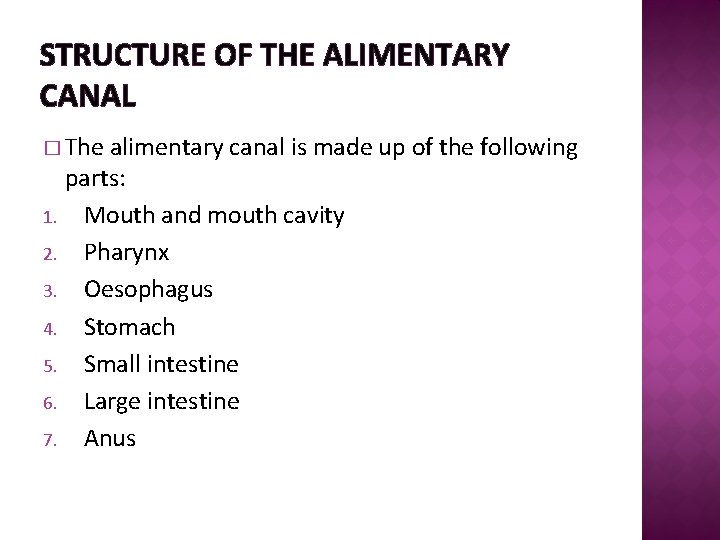 STRUCTURE OF THE ALIMENTARY CANAL � The alimentary canal is made up of the