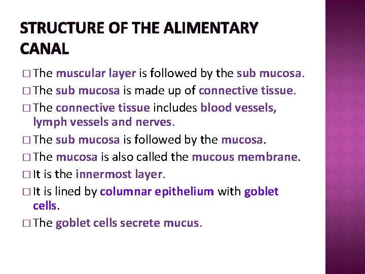 STRUCTURE OF THE ALIMENTARY CANAL � The muscular layer is followed by the sub