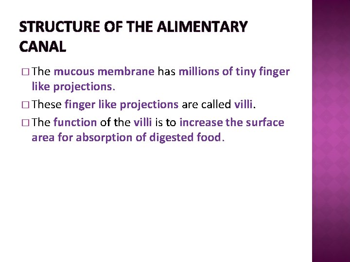 STRUCTURE OF THE ALIMENTARY CANAL � The mucous membrane has millions of tiny finger