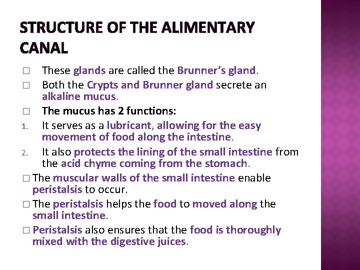 STRUCTURE OF THE ALIMENTARY CANAL These glands are called the Brunner’s gland. � Both