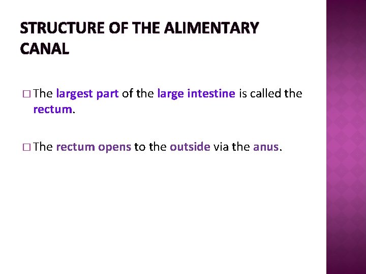 STRUCTURE OF THE ALIMENTARY CANAL � The largest part of the large intestine is