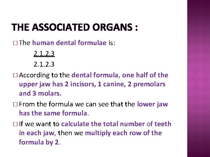 THE ASSOCIATED ORGANS : � The human dental formulae is: 2. 1. 2. 3