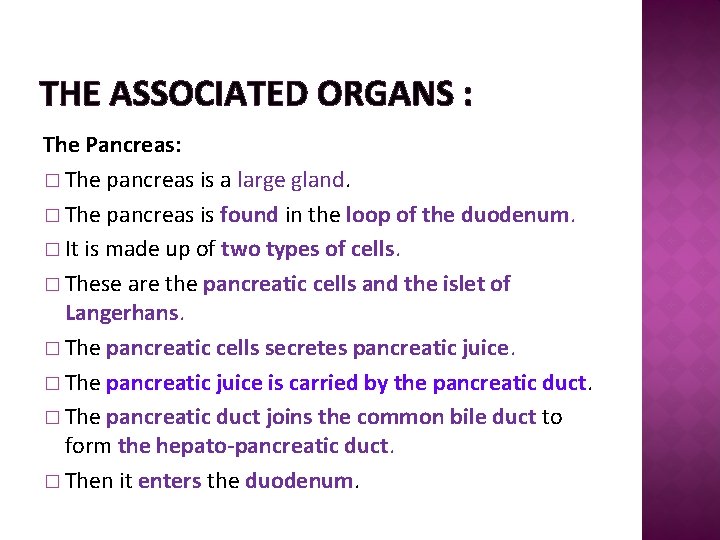 THE ASSOCIATED ORGANS : The Pancreas: � The pancreas is a large gland. �