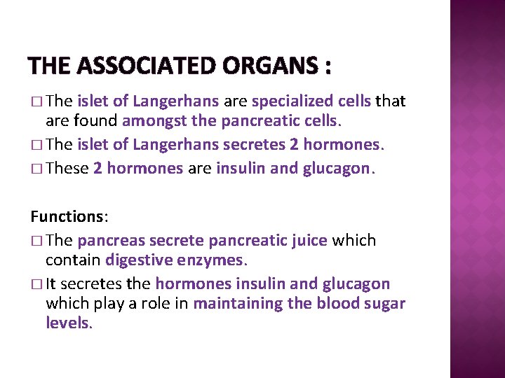 THE ASSOCIATED ORGANS : � The islet of Langerhans are specialized cells that are