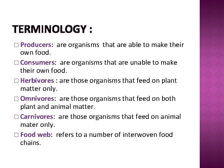 TERMINOLOGY : � Producers: are organisms that are able to make their own food.