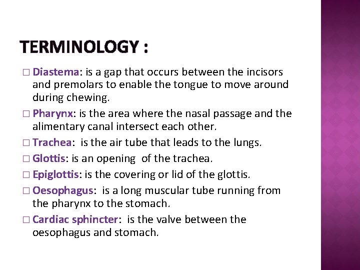 TERMINOLOGY : � Diastema: is a gap that occurs between the incisors and premolars