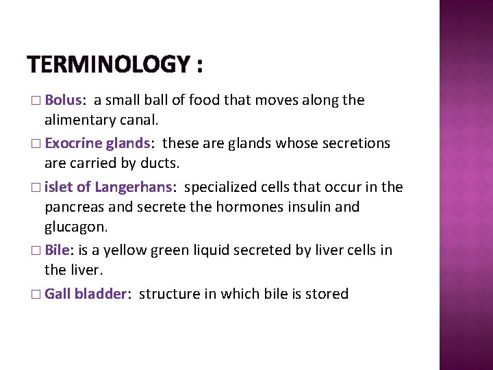 TERMINOLOGY : � Bolus: a small ball of food that moves along the alimentary