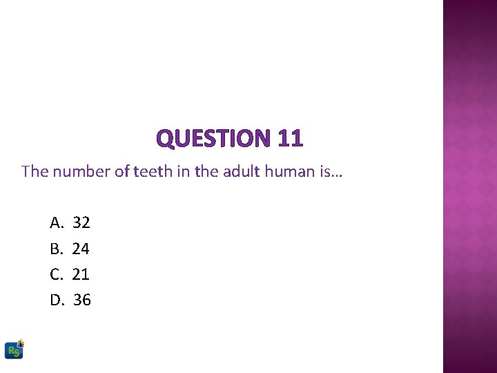 QUESTION 11 The number of teeth in the adult human is… A. B. C.