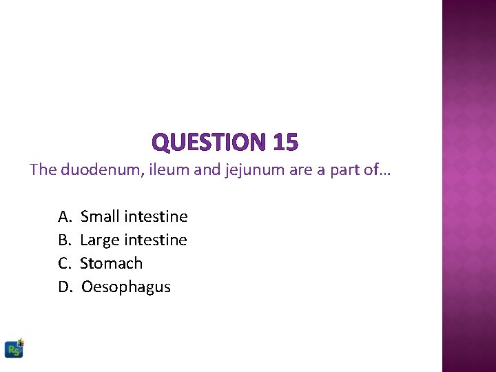 QUESTION 15 The duodenum, ileum and jejunum are a part of… A. B. C.