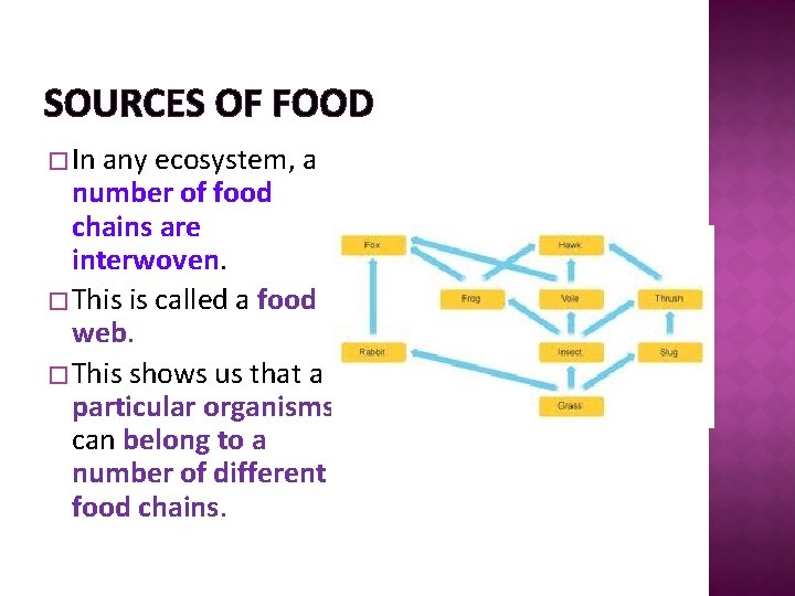 SOURCES OF FOOD � In any ecosystem, a number of food chains are interwoven.