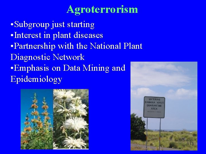 Agroterrorism • Subgroup just starting • Interest in plant diseases • Partnership with the