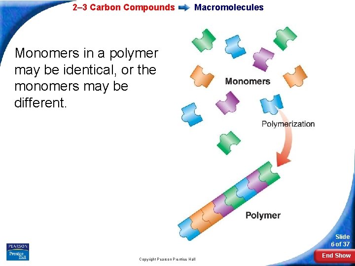 Biology Slide 1 of 37 Copyright Pearson Prentice