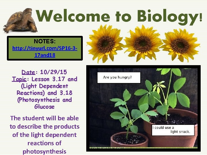 Welcome to Biology! NOTES: http: //tinyurl. com/SP 16 -317 and 18 Date: 10/29/15 Topic: