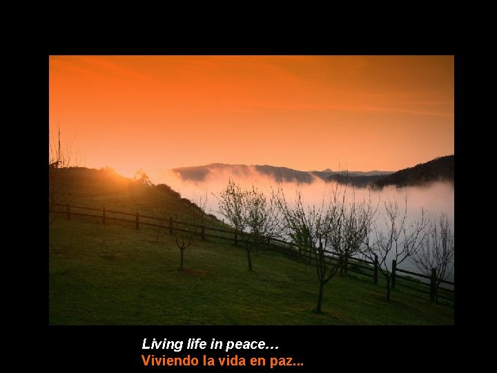 Living life in peace… Viviendo la vida en paz. . . 
