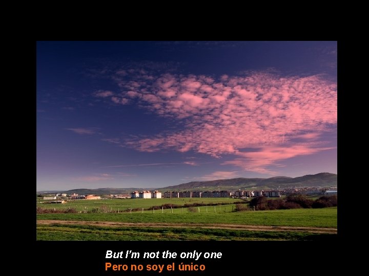 But I’m not the only one Pero no soy el único 