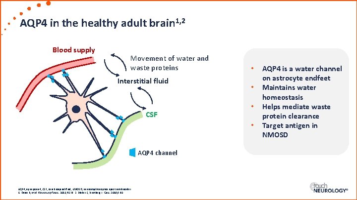 AQP 4 in the healthy adult brain 1, 2 Blood supply Movement of water