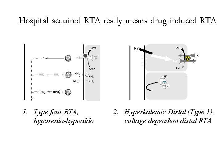 Hospital acquired RTA really means drug induced RTA 1. Type four RTA, hyporenin-hypoaldo 2.