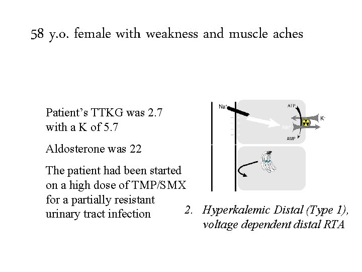 58 y. o. female with weakness and muscle aches Patient’s TTKG was 2. 7