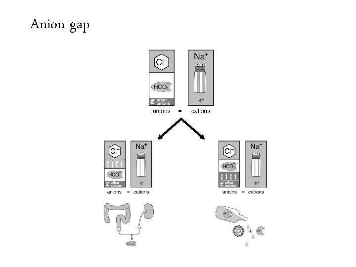 Anion gap = 