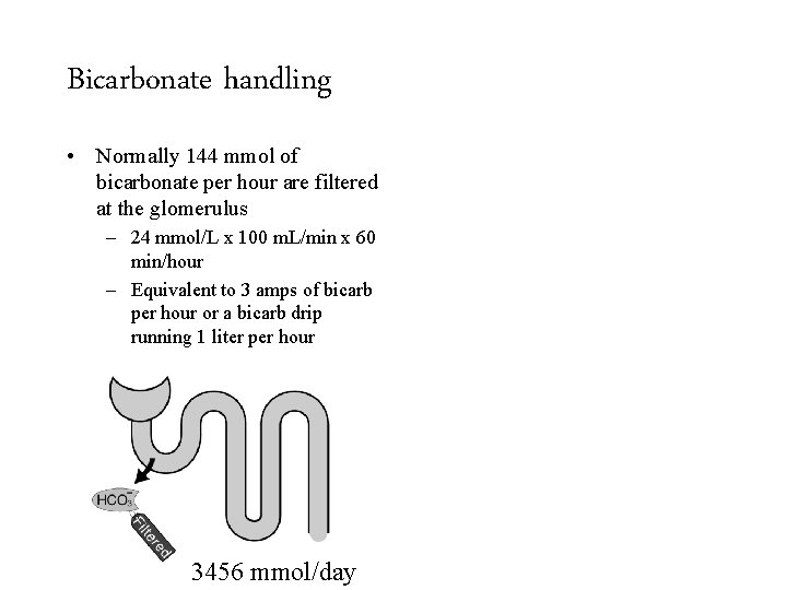 Bicarbonate handling • Normally 144 mmol of bicarbonate per hour are filtered at the