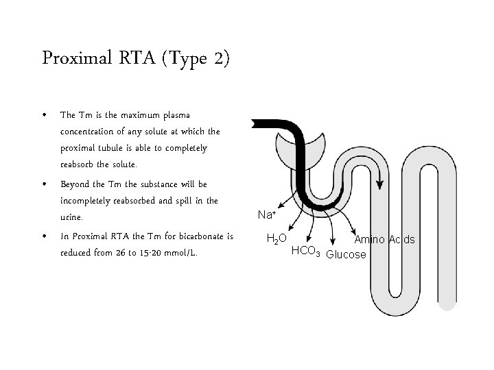 Proximal RTA (Type 2) • The Tm is the maximum plasma concentration of any