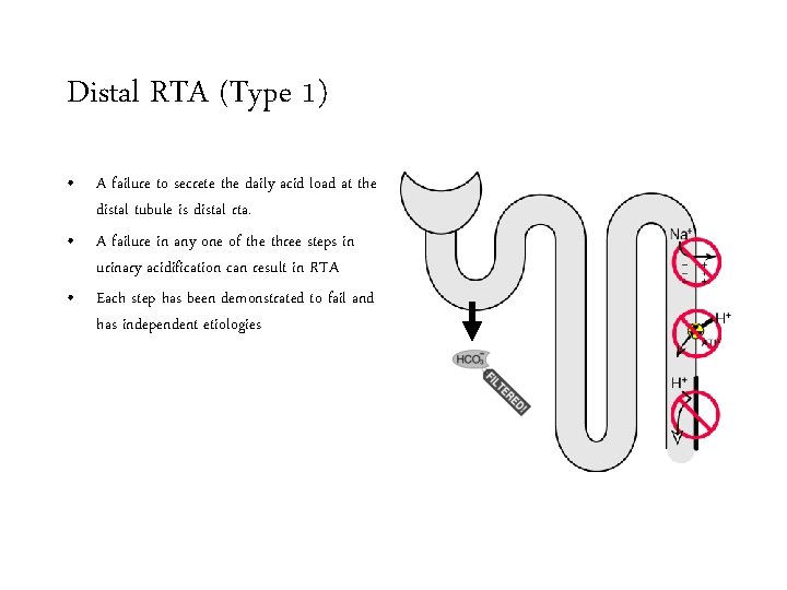 Distal RTA (Type 1) • A failure to secrete the daily acid load at