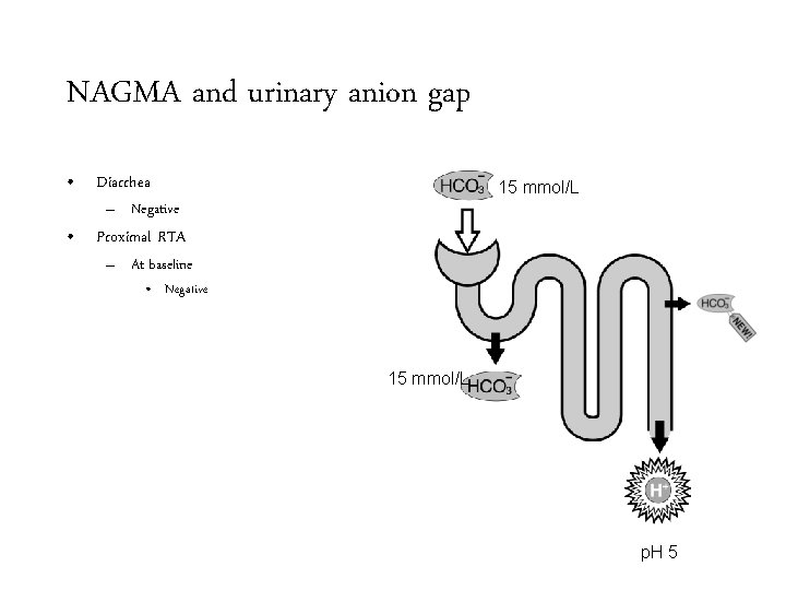 NAGMA and urinary anion gap • Diarrhea 15 mmol/L – Negative • Proximal RTA