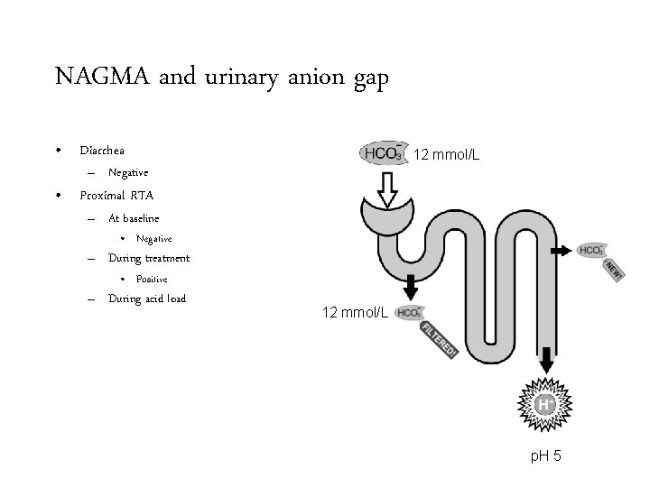 NAGMA and urinary anion gap • Diarrhea 12 mmol/L – Negative • Proximal RTA