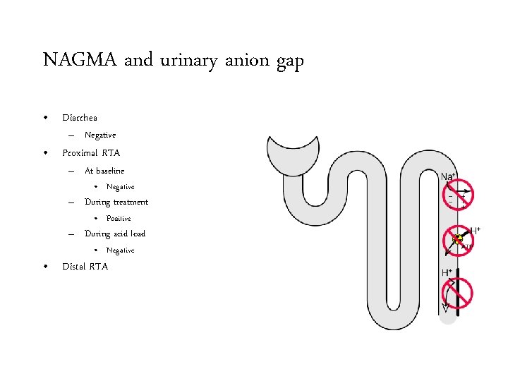 NAGMA and urinary anion gap • Diarrhea – Negative • Proximal RTA – At