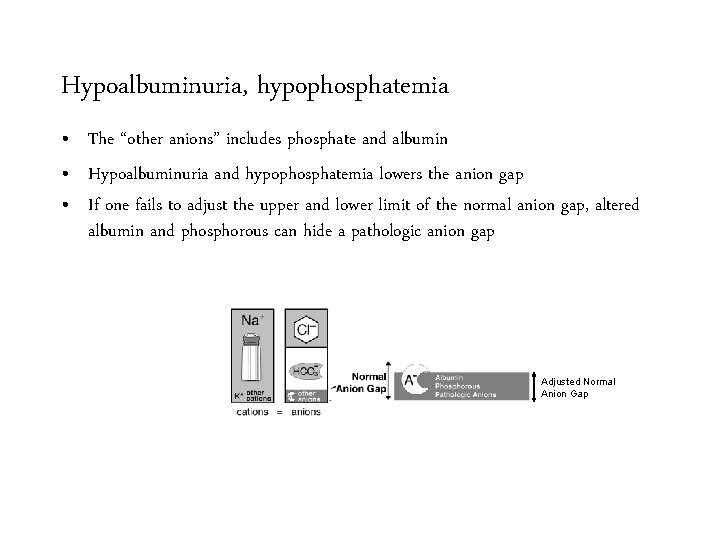 Hypoalbuminuria, hypophosphatemia • The “other anions” includes phosphate and albumin • Hypoalbuminuria and hypophosphatemia