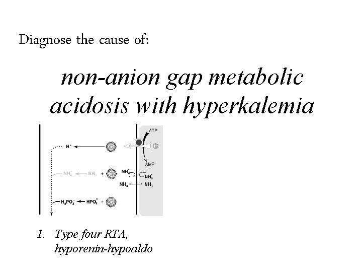 Diagnose the cause of: non-anion gap metabolic acidosis with hyperkalemia 1. Type four RTA,