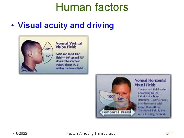 Human factors • Visual acuity and driving 1/18/2022 Factors Affecting Transportation 5/11 