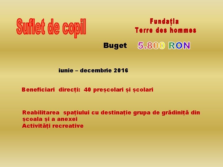 Buget iunie – decembrie 2016 Beneficiari direcți: 40 preșcolari și școlari Reabilitarea spațiului cu