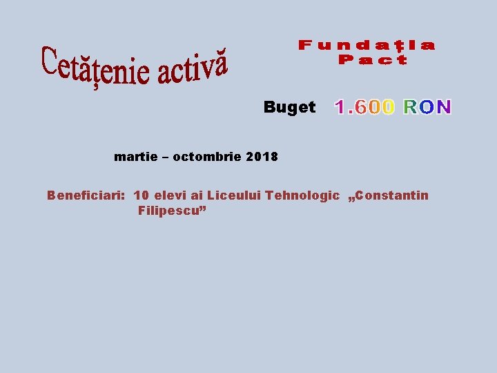 Buget martie – octombrie 2018 Beneficiari: 10 elevi ai Liceului Tehnologic „Constantin Filipescu” 