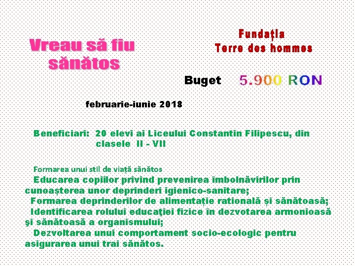 Buget februarie-iunie 2018 Beneficiari: 20 elevi ai Liceului Constantin Filipescu, din clasele II -