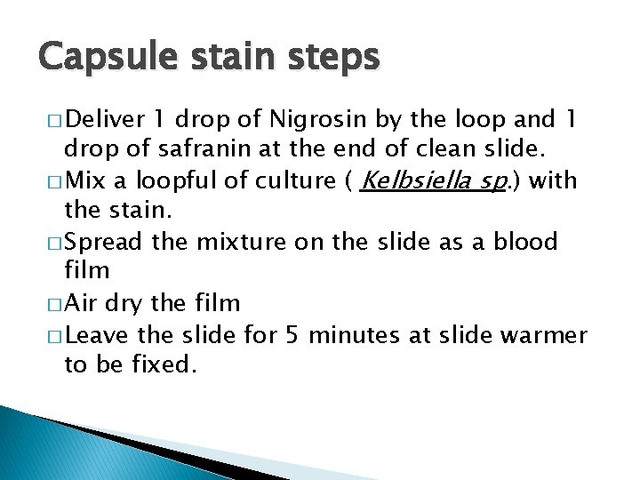 Capsule stain steps � Deliver 1 drop of Nigrosin by the loop and 1