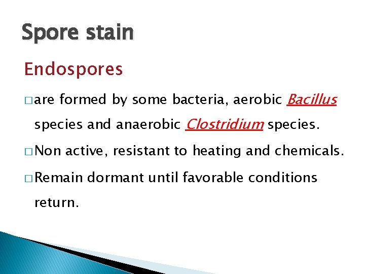 Spore stain Endospores � are formed by some bacteria, aerobic Bacillus species and anaerobic