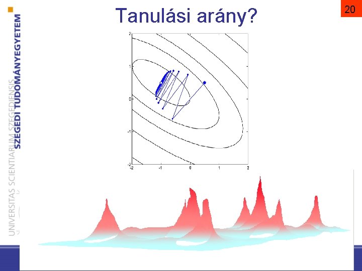 Tanulási arány? 20 