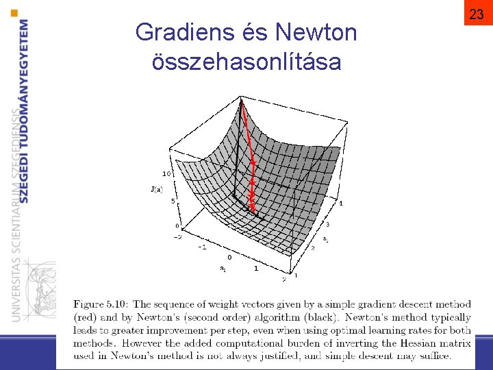 Gradiens és Newton összehasonlítása 23 